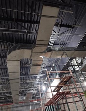 WhatsApp Image 2026-01-29 at 16.38.52 2