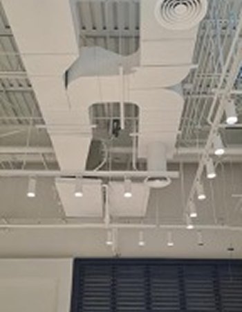 WhatsApp Image 2026-01-29 at 16.38.54 (1) 2