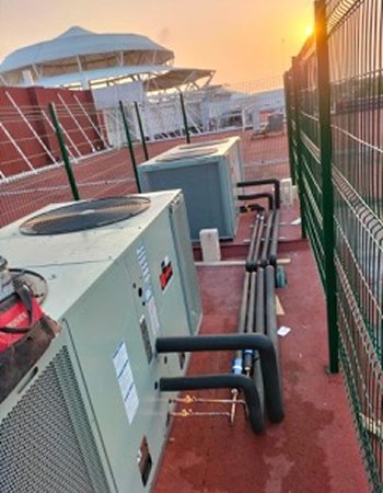 WhatsApp Image 2026-01-29 at 16.38.55 (6) 3