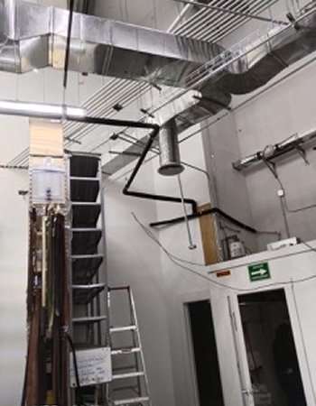 WhatsApp Image 2026-01-29 at 16.38.56 3